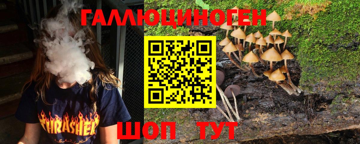 Галлюциногенные грибы Psilocybe  Вход с VPN  Калуга 