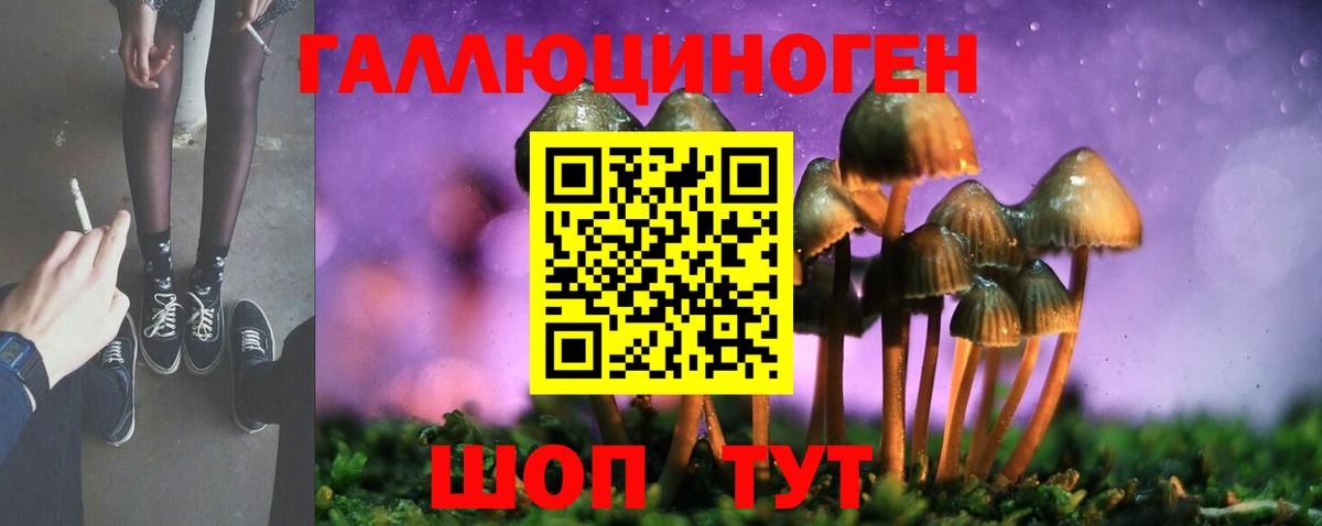 Псилоцибиновые грибы Cubensis Калуга